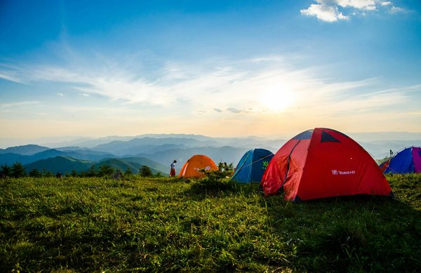 Quelles sont les meilleures destinations pour un camping éducatif sur la faune et la flore?